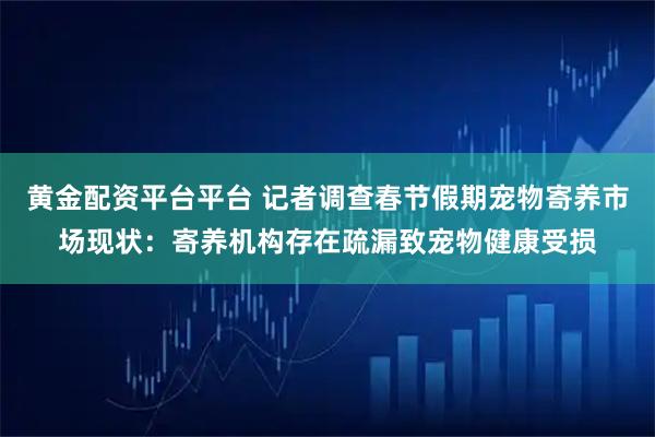 黄金配资平台平台 记者调查春节假期宠物寄养市场现状:寄养机构存在疏漏致宠物健康受损