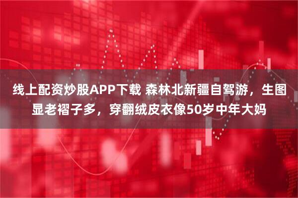 线上配资炒股APP下载 森林北新疆自驾游，生图显老褶子多，穿翻绒皮衣像50岁中年大妈